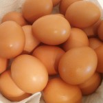 eggs