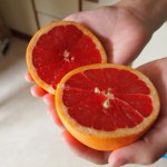 grapefruit