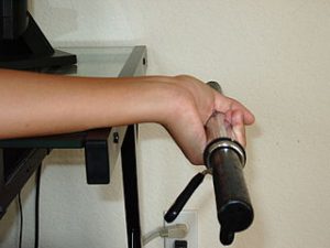 arm exercises wrist curls